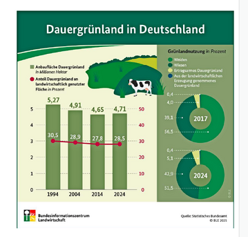 Die Grafik zeigt die Entwicklung bis 2024. 2025 hat sich der Anteil des Weidelandes wieder etwas erhöht auf ca. 54 %.