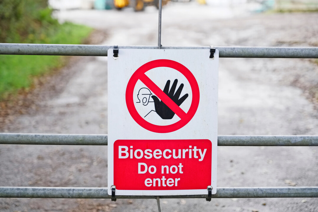 Biosicherheitsschild am Eingangstor eines landwirtschaftlichen Betriebs.