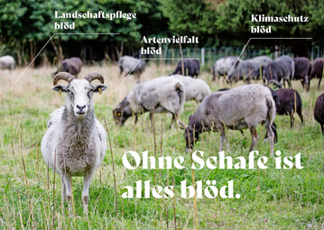 Mit Postkarten mit verschiedenen Motiven unterst�tzt die HNEE die Kommunikation der Mehrwerte der naturnahen Schafhaltung.