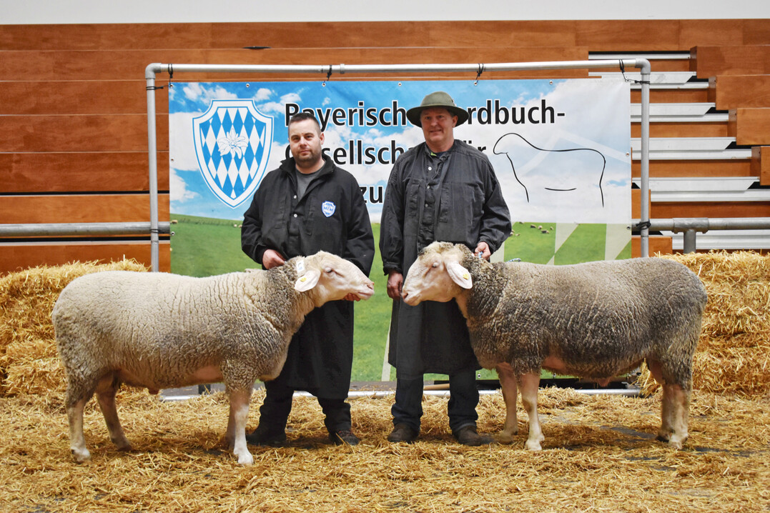 1: Altersklasse 1 und 2: Rechts der Sieger (Kat.-Nr. 12) von Richard Kiemer, links der Reservesieger (Kat.-Nr. 6) von Sebastian Schmutz.