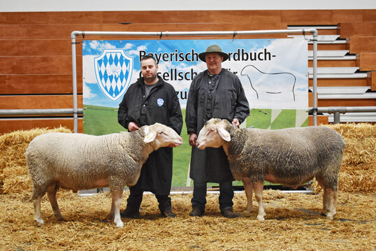 1: Altersklasse 1 und 2: Rechts der Sieger (Kat.-Nr. 12) von Richard Kiemer, links der Reservesieger (Kat.-Nr. 6) von Sebastian Schmutz.