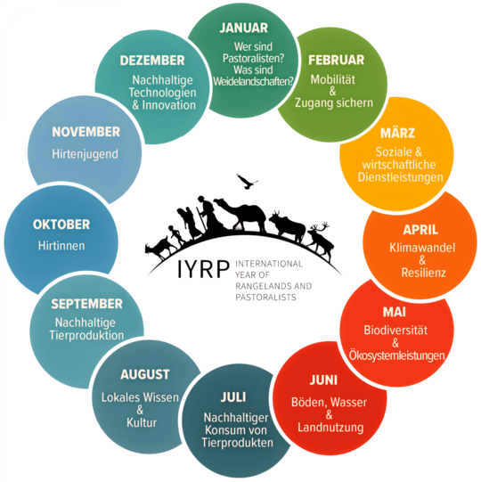 Jeder Monat dieses Hirtenjahres ist einem Schwerpunkt gewidmet. Im März geht es um die sozialen Leistungen.