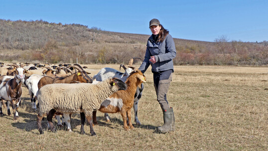 Mich�le Siebmann bei ihrer gemischten Truppe.
