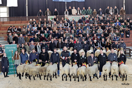 Der Hirtenstab in Nordrhein-Westfalen. Ein Zeichen f�r Gemeinsamkeit bei der Schwarzkopf- und Suffolk-Elite in Krefeld.