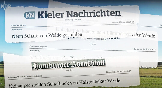 Screenshot des NDR-Dokumentarfilms �Tatort Bauernhof � Diebstahl auf dem Land�