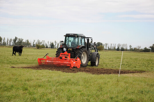 Anlegen eines Etablierungsfensters im Wulfener Bruch auf einer Ganzjahresweide mit Heckrindern. 