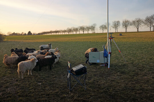 Arbeit unter Schafen: Das Startup Pax Lupus testet aktuell Komponenten eines KI-basierten Herdenschutzsystems direkt auf der Weide.