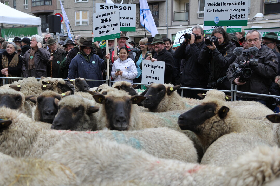 Demonstration der Schfer vor dem Landwirtschaftsministerium 2018 in Berlin