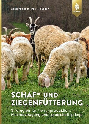 Schaf- und Ziegenftterung