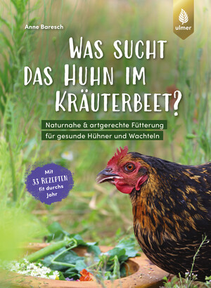 Was sucht das Huhn im Kruterbeet?