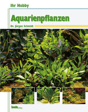Aquarienpflanzen