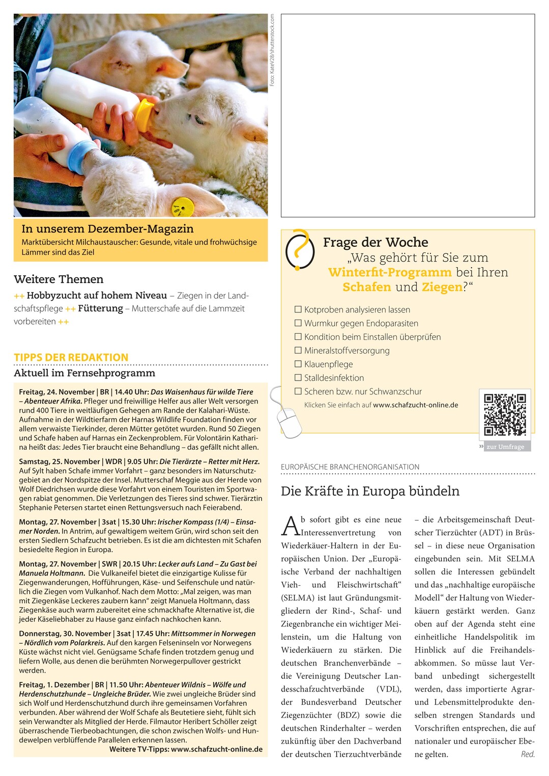 Seite 1 von 1