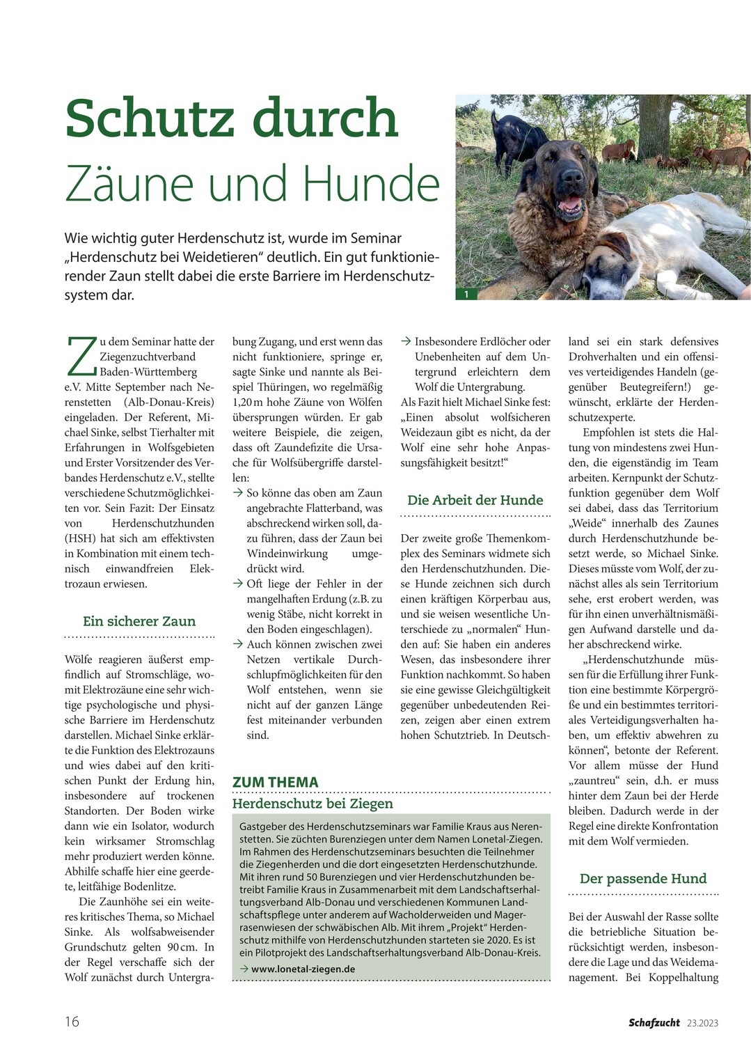 Seite 1 von 2
