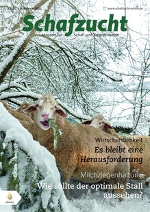 Cover Schafzucht 03/2022