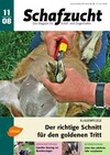 Cover Schafzucht 11/2008