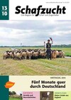 Cover Schafzucht 13/2010