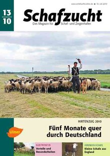 Cover Schafzucht 13/2010