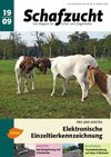 Cover Schafzucht 19/2009