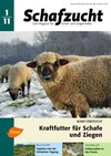 Cover Schafzucht 01/2011