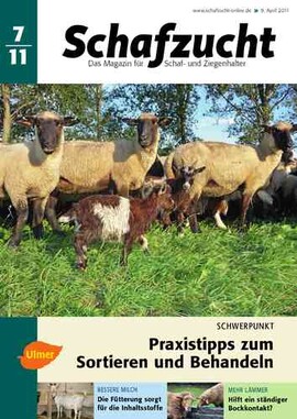 Cover Schafzucht 07/2011