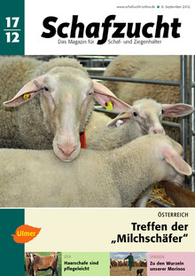 Cover Schafzucht 17/2012