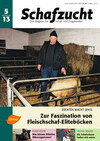 Cover Schafzucht 05/2013