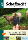 Cover Schafzucht 11/2013