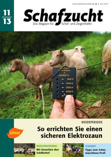 Cover Schafzucht 11/2013