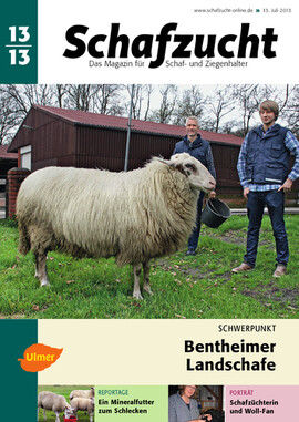 Cover Schafzucht 13/2013