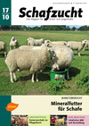 Cover Schafzucht 17/2010