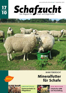 Cover Schafzucht 17/2010