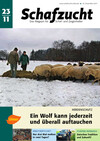 Cover Schafzucht 23/2011