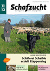 Cover Schafzucht 11/2012
