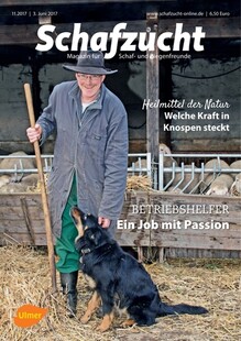 Cover Schafzucht 11/2017