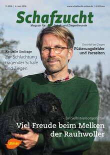 Cover Schafzucht 11/2016