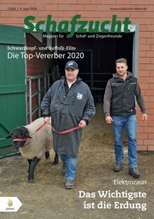 Cover Schafzucht 07/2020