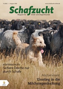 Cover Schafzucht 15/2020