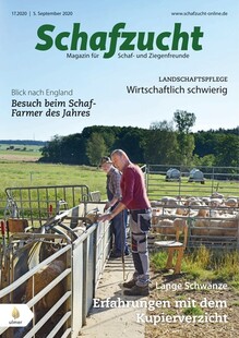 Cover Schafzucht 17/2020