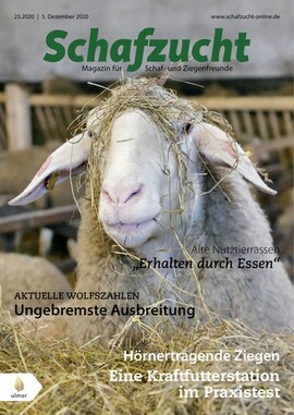Cover Schafzucht 23/2020