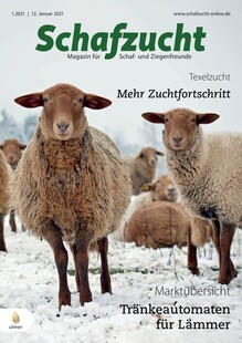 Cover Schafzucht 01/2021
