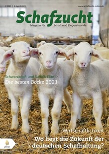 Cover Schafzucht 07/2021
