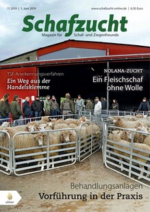 Cover Schafzucht 11/2019