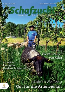 Cover Schafzucht 13/2019