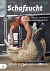 Cover Schafzucht 17/2019