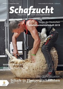 Cover Schafzucht 17/2019
