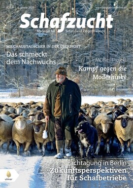 Cover Schafzucht 01/2020