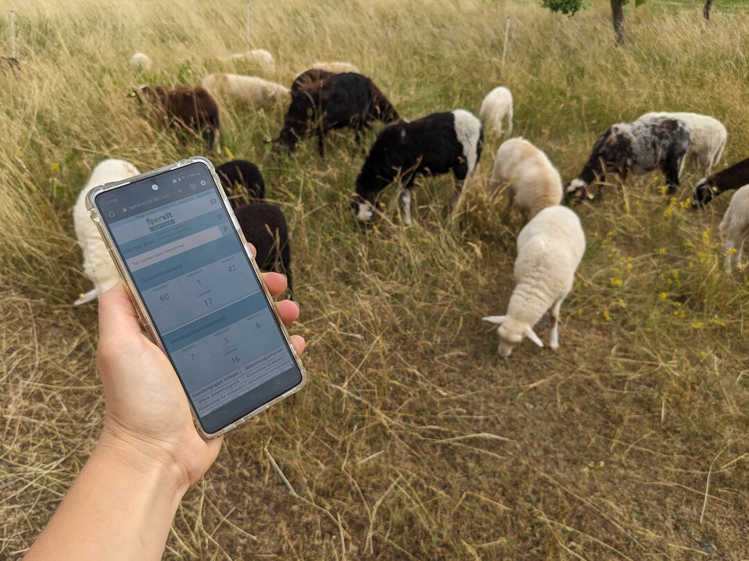 Das neue Managementprogramm wird unter anderem über das Handy
zu bedienen sein.