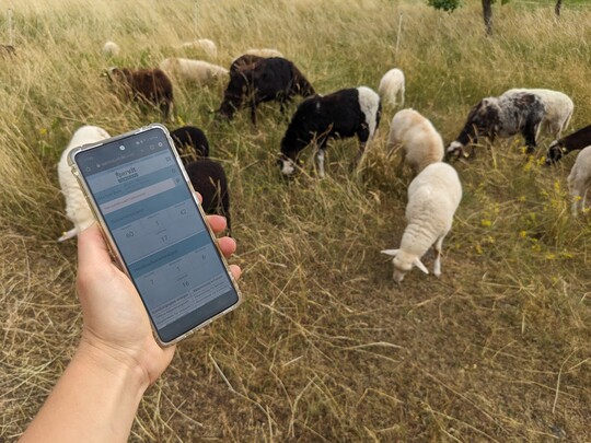 Das neue Managementprogramm wird unter anderem ber das Handy
zu bedienen sein.