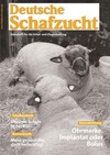 Cover Schafzucht 13/2005