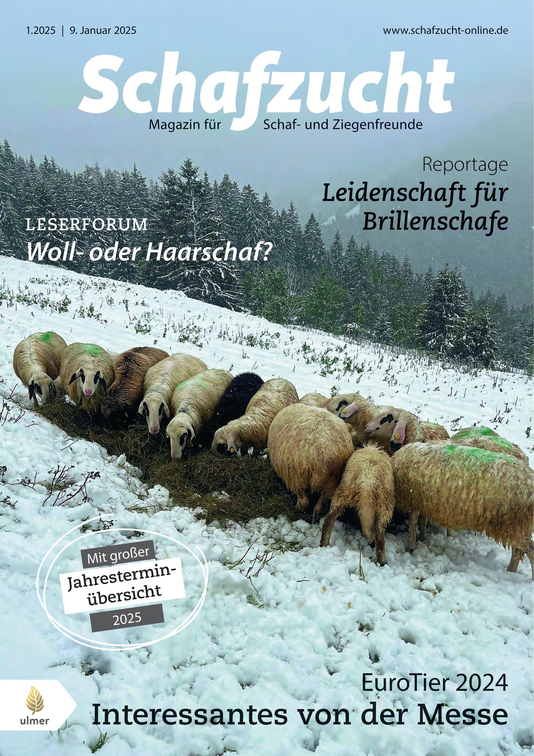 Landtage Nord 2025